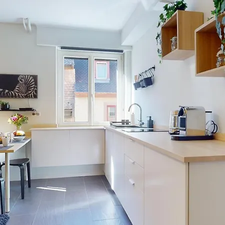 Privative 43m2 - Les Tailleurs A 120m De La Cathedrale * Strasbourg